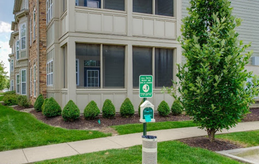 Dog park at Sylvania apartments.