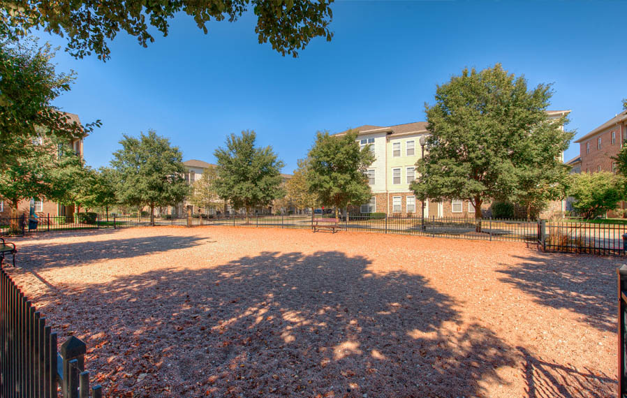 Wide open dog park at Sylvania apartments.